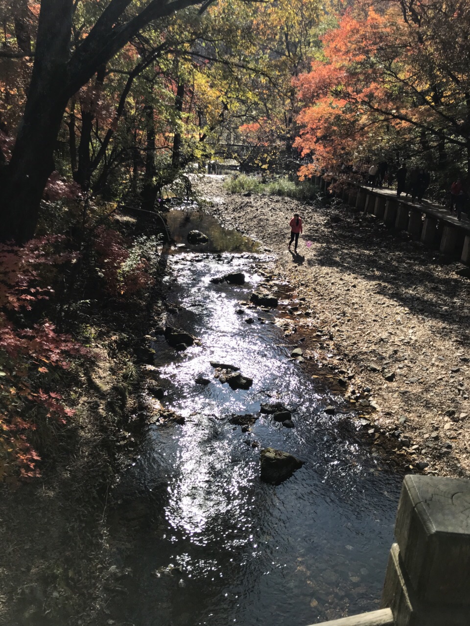 关门山森林大峡谷旅游景点攻略图