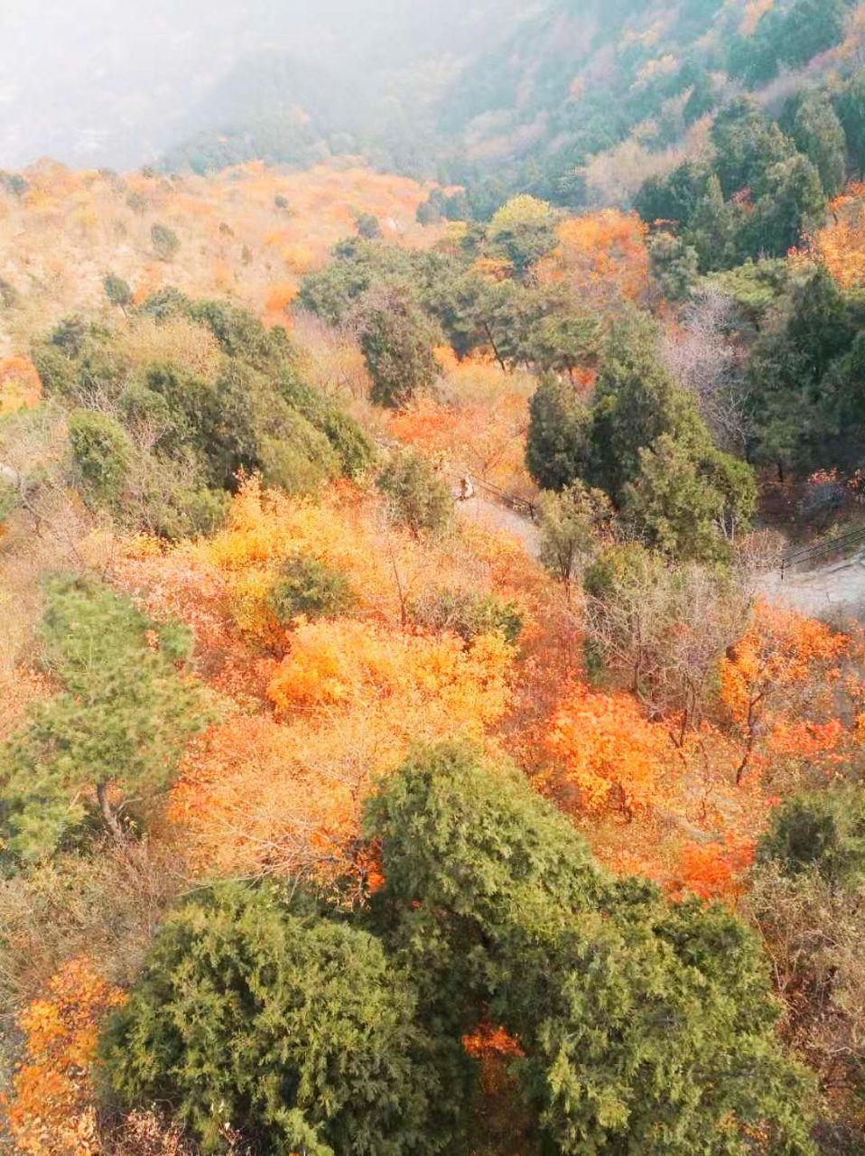 香山公园旅游景点攻略图