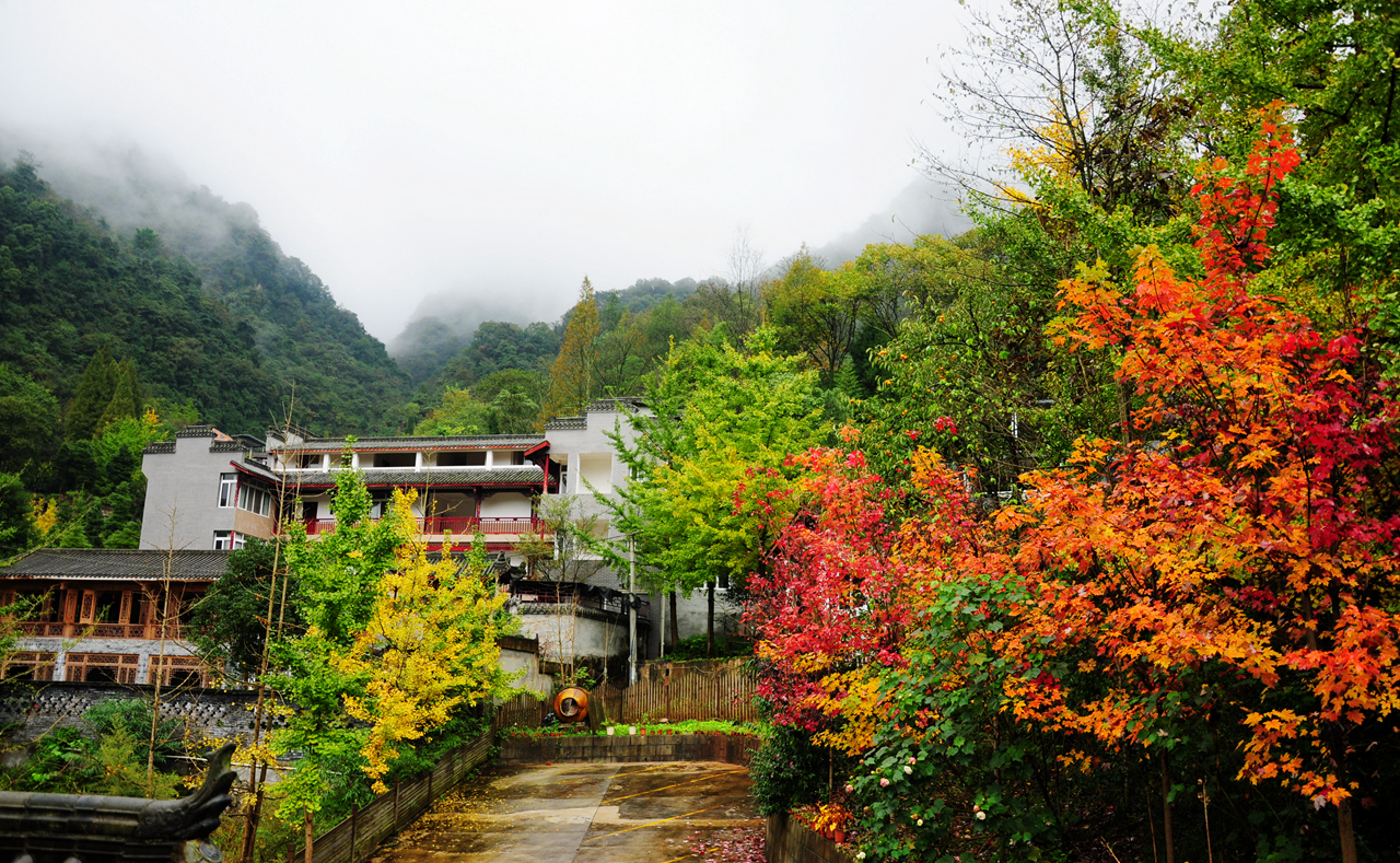 目的地 中国 四川 成都 都江堰 景点 泰安古镇   很清静的一个古镇,比