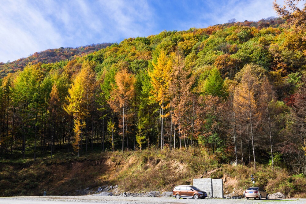 神农架天燕旅游区好玩吗,神农架天燕旅游区景点怎么样