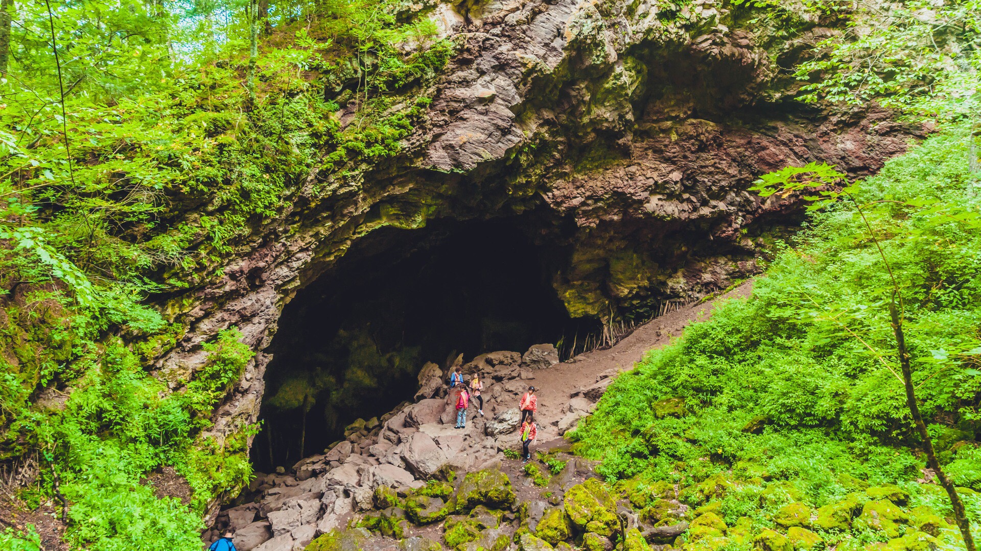 火山口地下森林