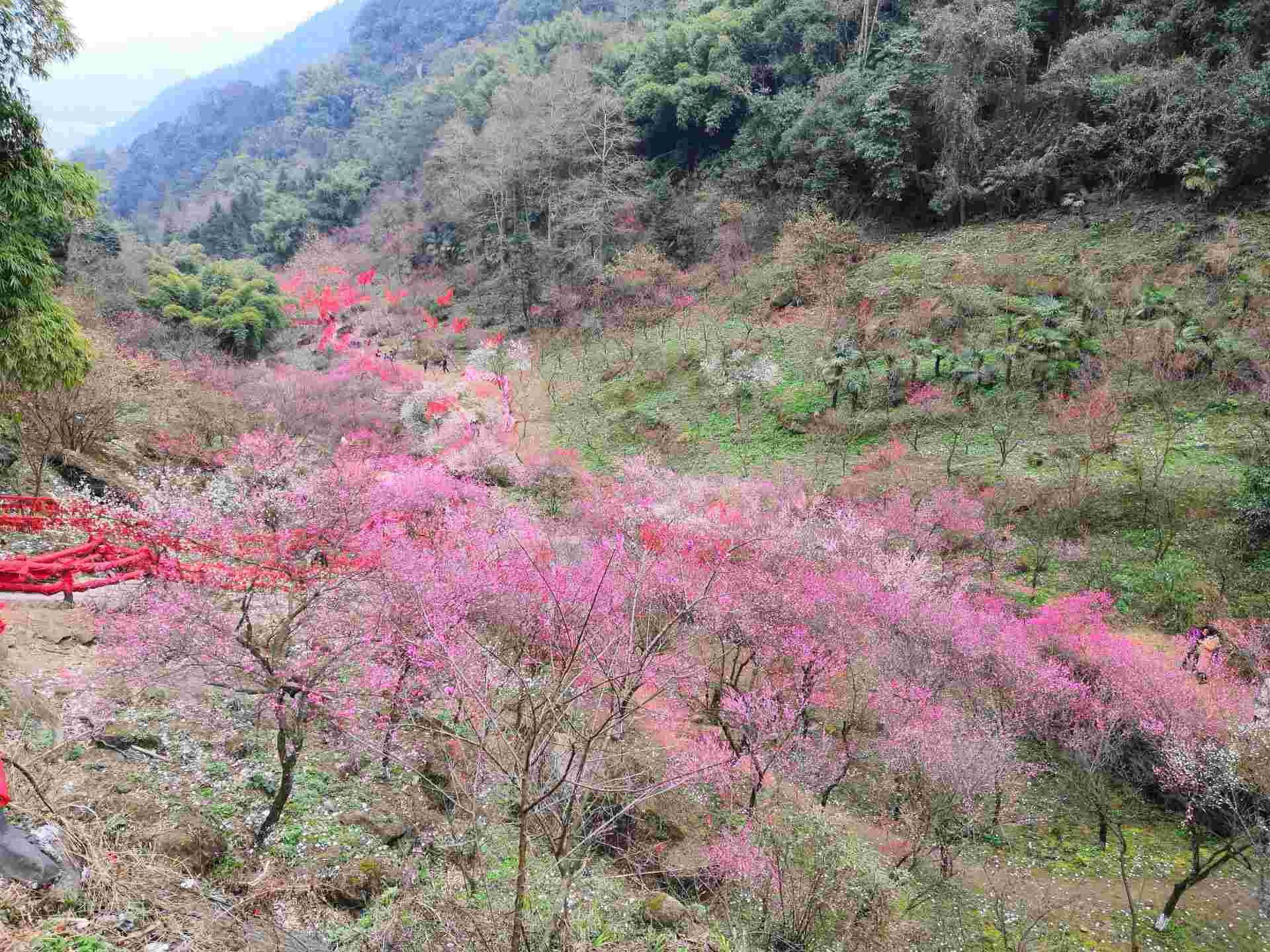 彭州丹景山好玩吗,彭州丹景山景点怎么样_点评_评价【携程攻略】