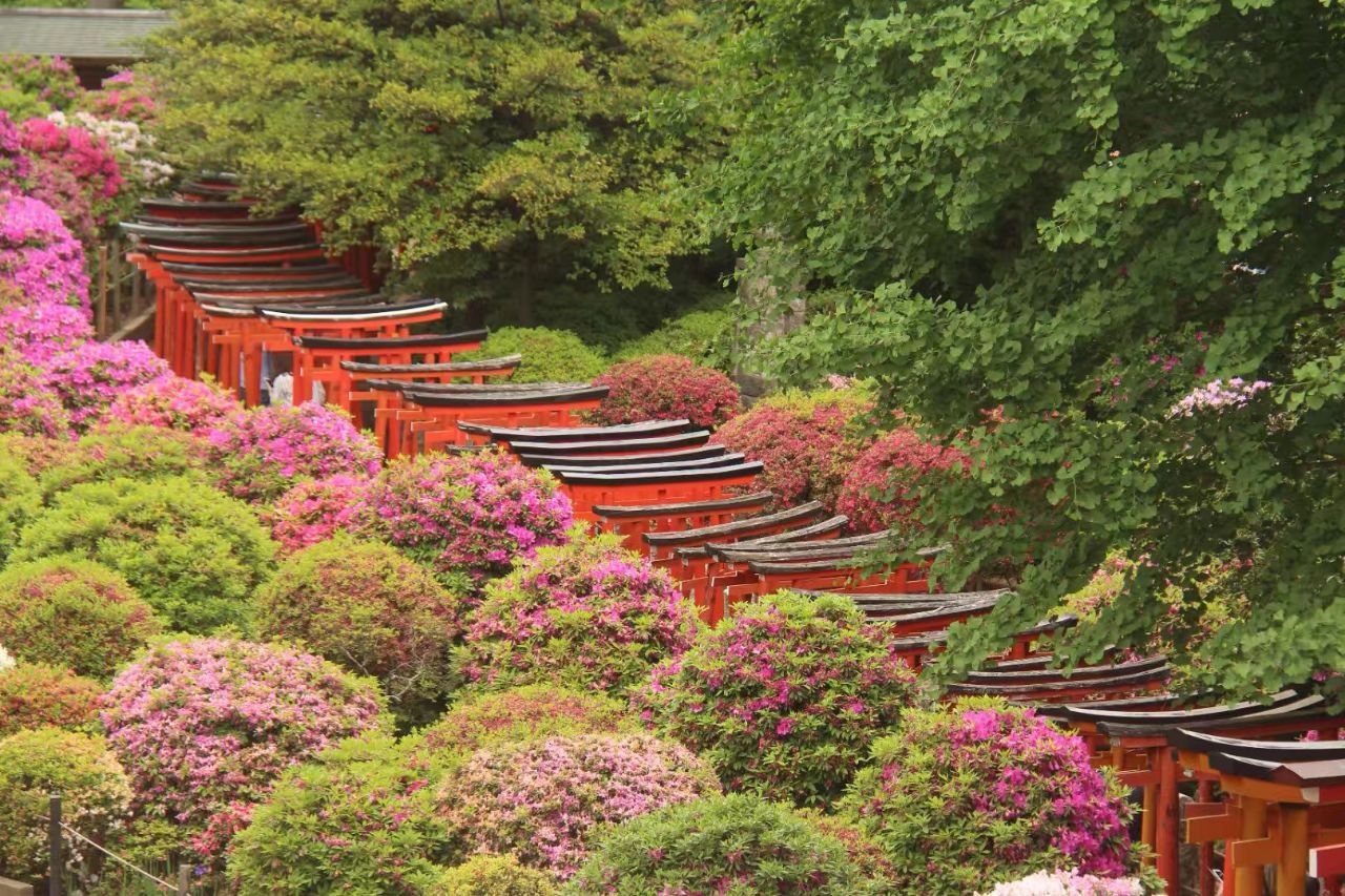 根津神社nezu shrine