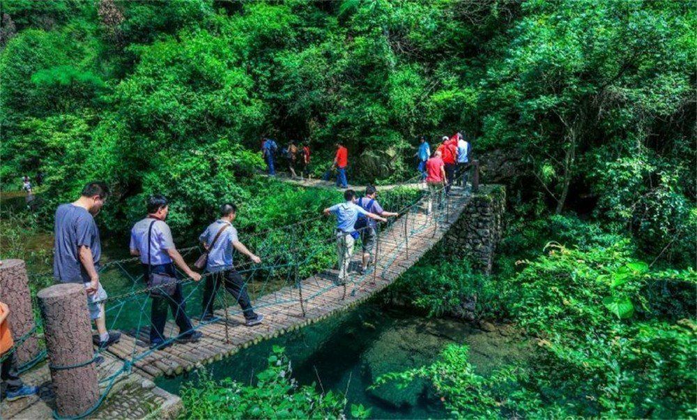 【携程攻略】桐庐大奇山国家森林公园景点,桐庐大奇山并不太高,海拔