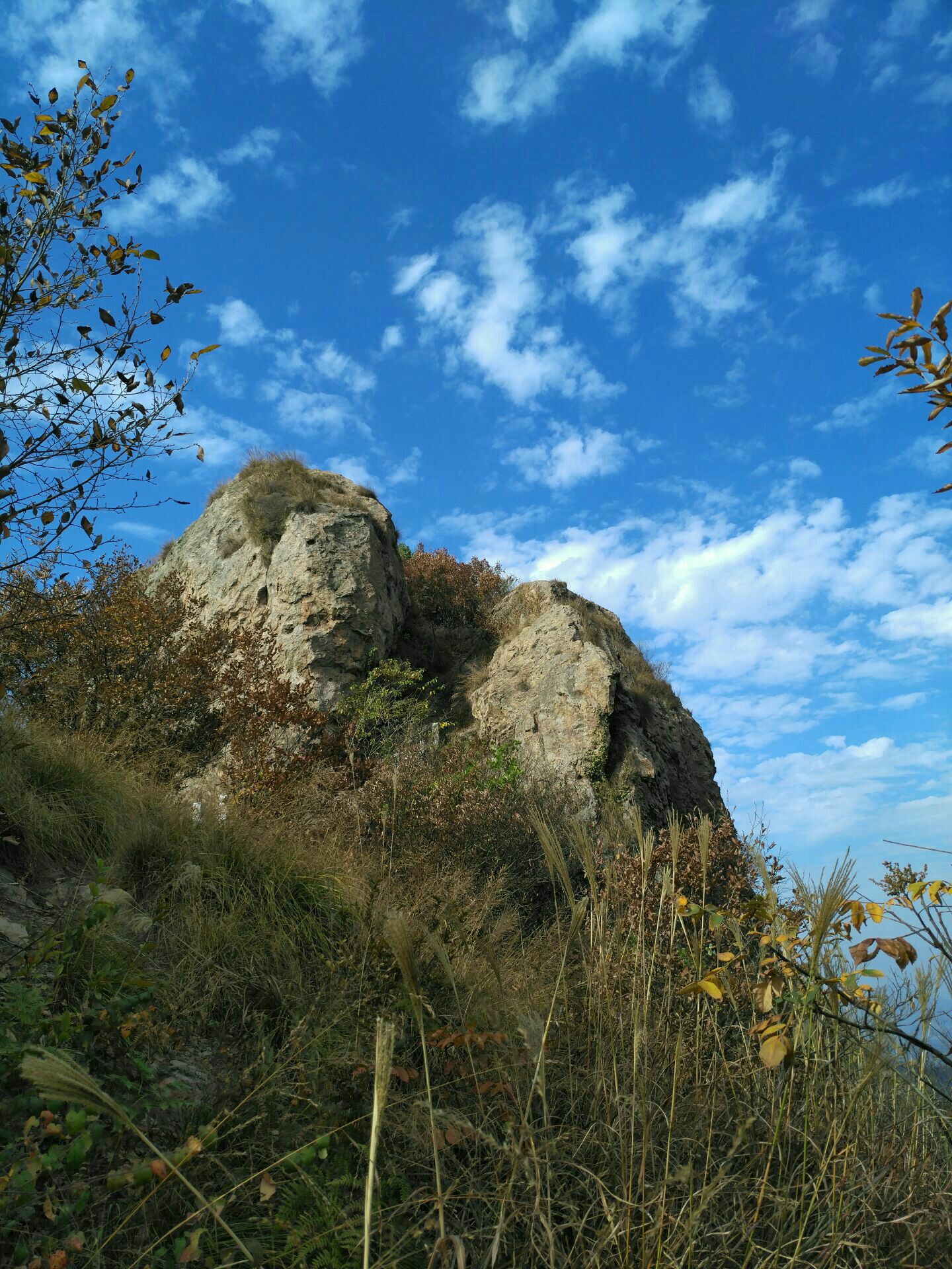 岱鳌山