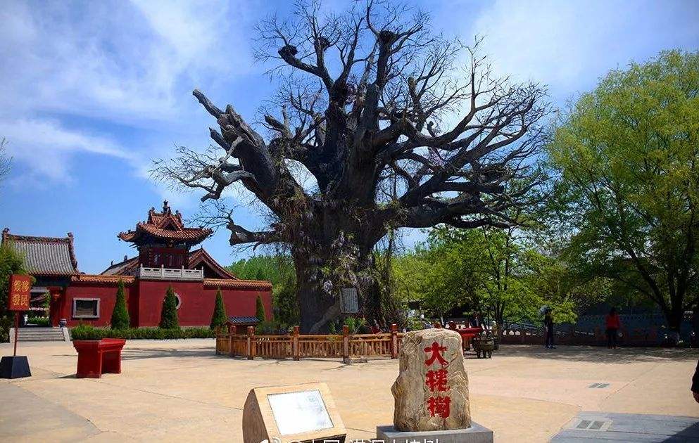 洪洞大槐树寻根祭祖园 古建外观