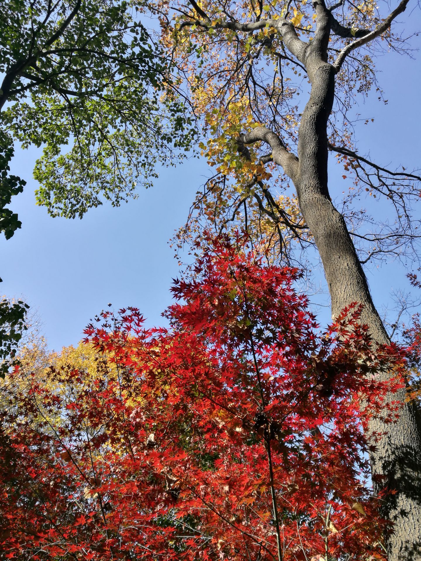 2019栖霞山_旅游攻略_门票_地址_游记点评,南京旅游景点推荐 - 去哪儿