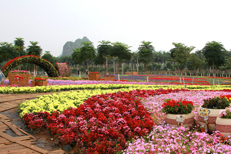 【携程攻略】武鸣区花花大世界景点,上周周末趁天气好,于是便决定了去