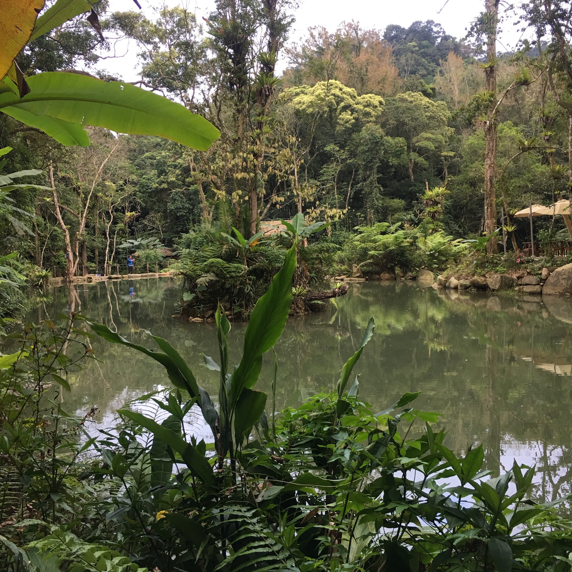 海南百花岭热带雨林文化旅游区