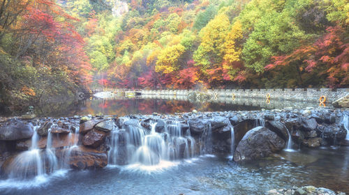 中国辽宁本溪大石湖风景区一日游【奇花异草的植物园