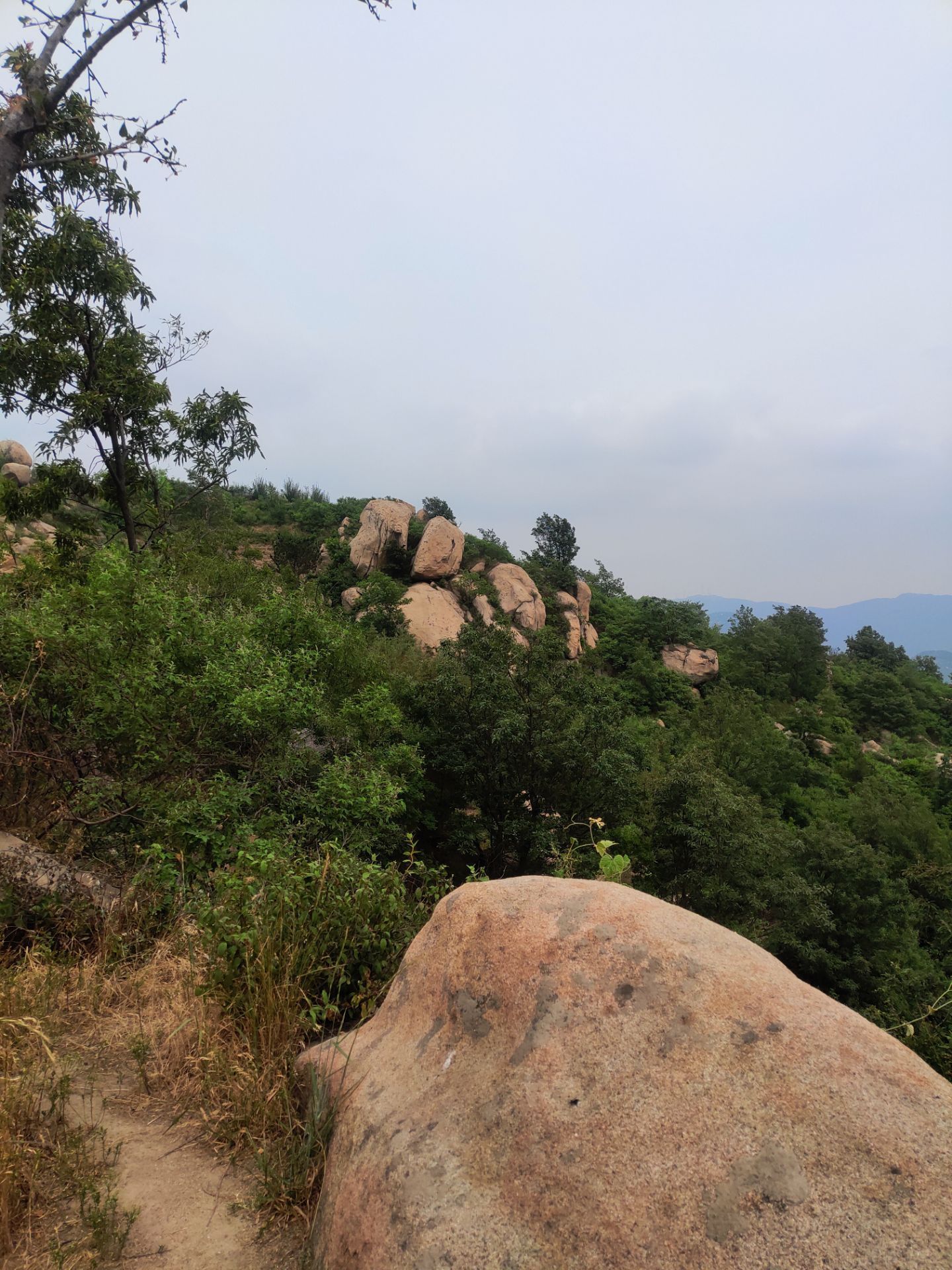 唐河石柱山森林公园好玩吗,唐河石柱山森林公园景点样