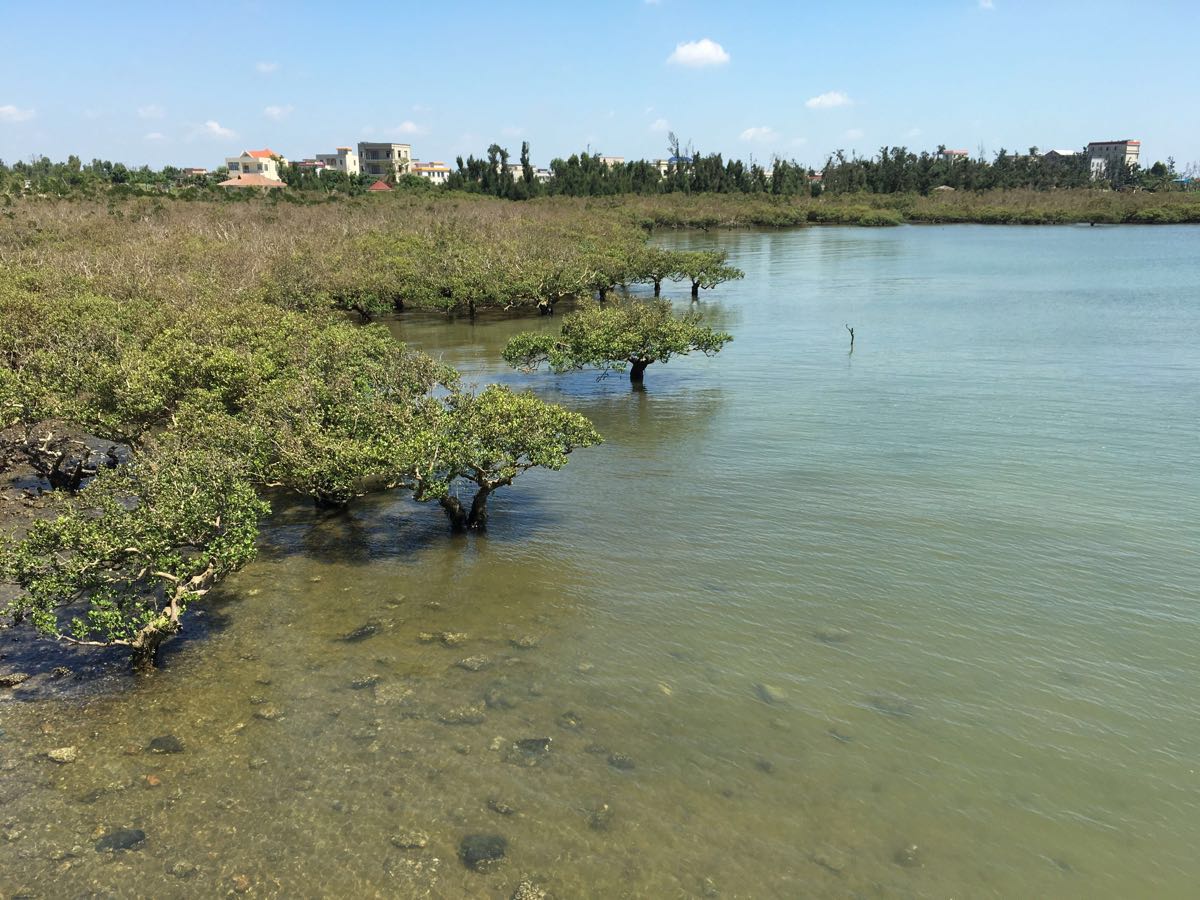 【携程攻略】广东湛江特呈岛好玩吗,广东特呈岛景点怎