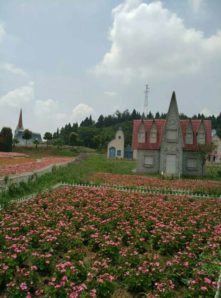 绵阳原香国际香草园好玩吗,绵阳原香国际香草园景点样