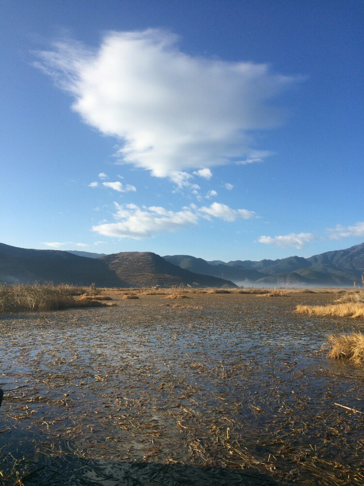 草海