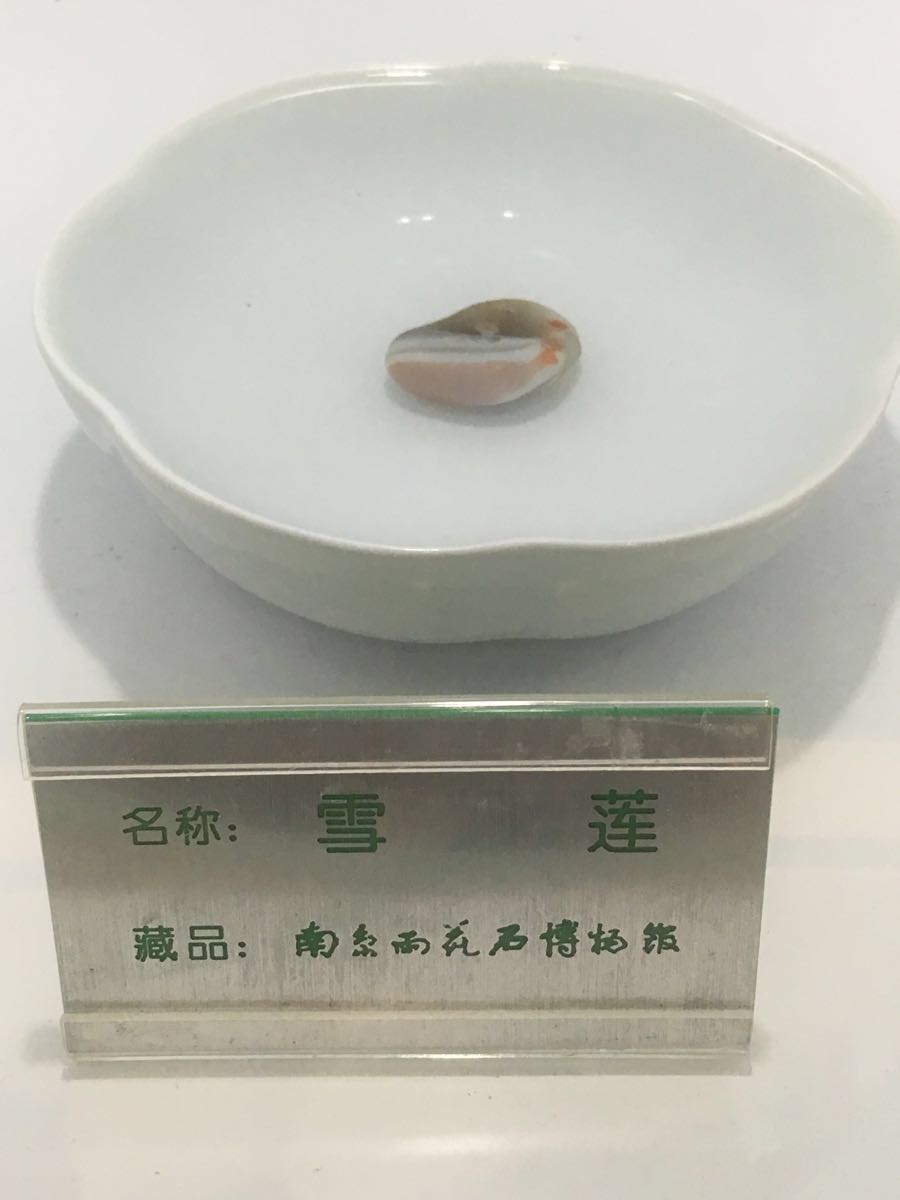 【携程攻略】南京雨花石博物馆景点,去公园顺路的话可以去一下,否则没