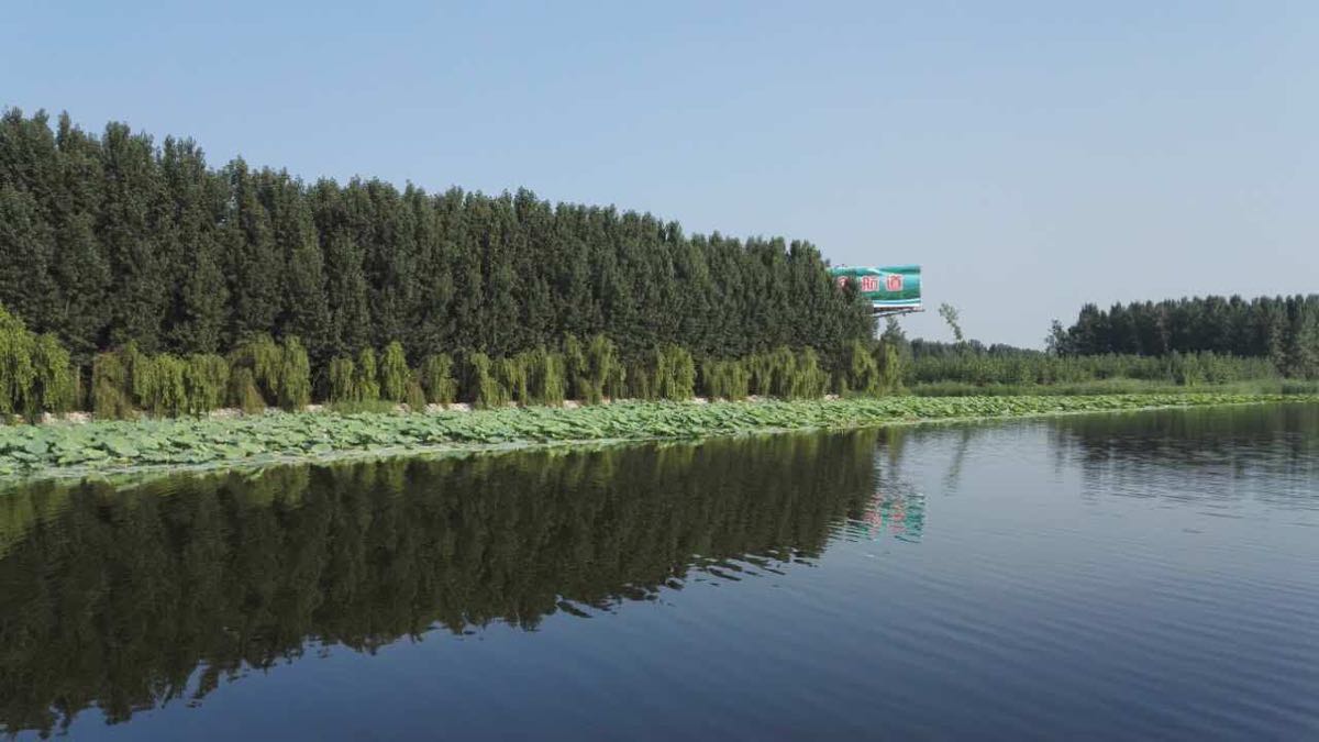 微山湖红荷湿地景区
