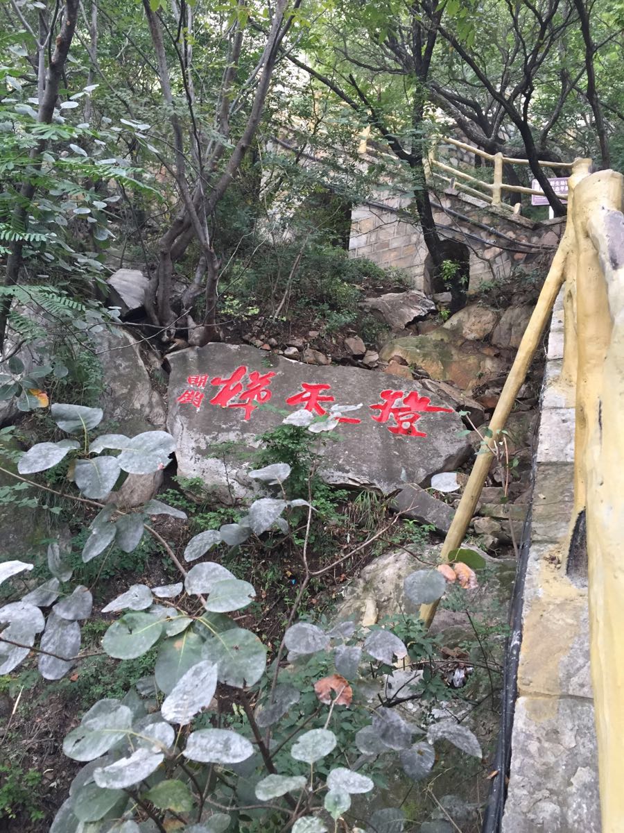 2019攻略寨_争霸地址_秘宝_三皇_门票点评,少林寺旅游七雄旅游手游游记攻略图片