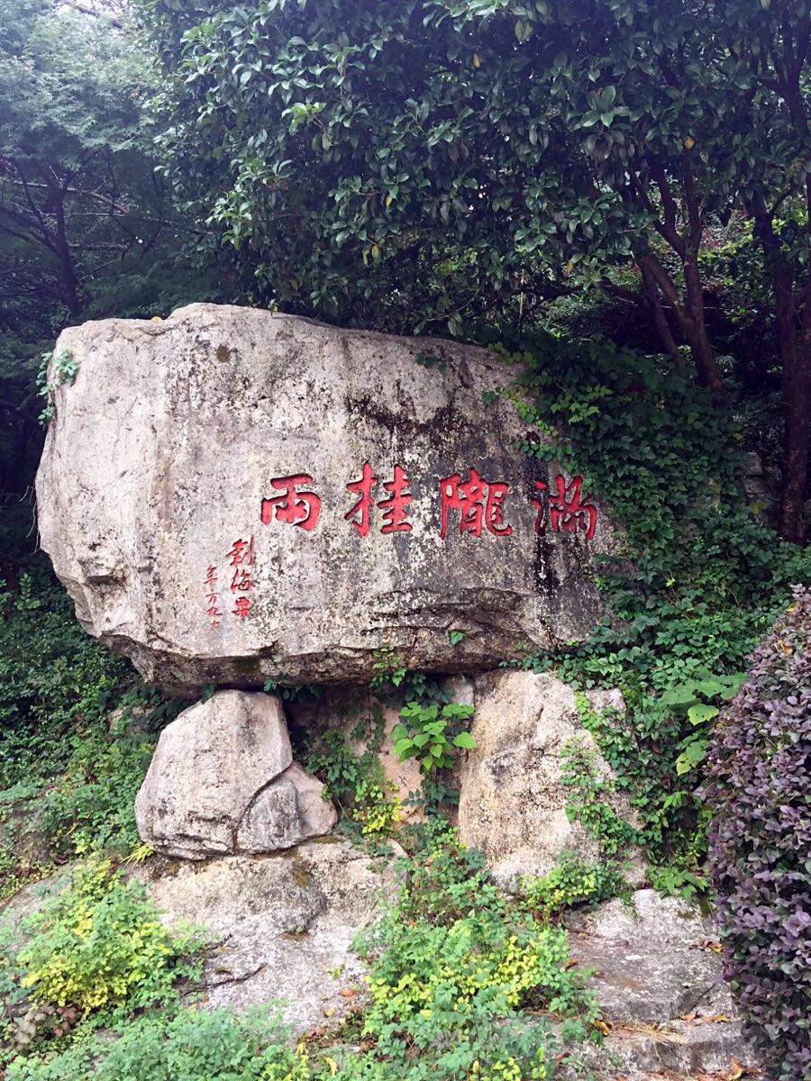 2019满陇桂雨游玩攻略,香气浓郁芳馨四溢,一路走来【去哪儿攻略】