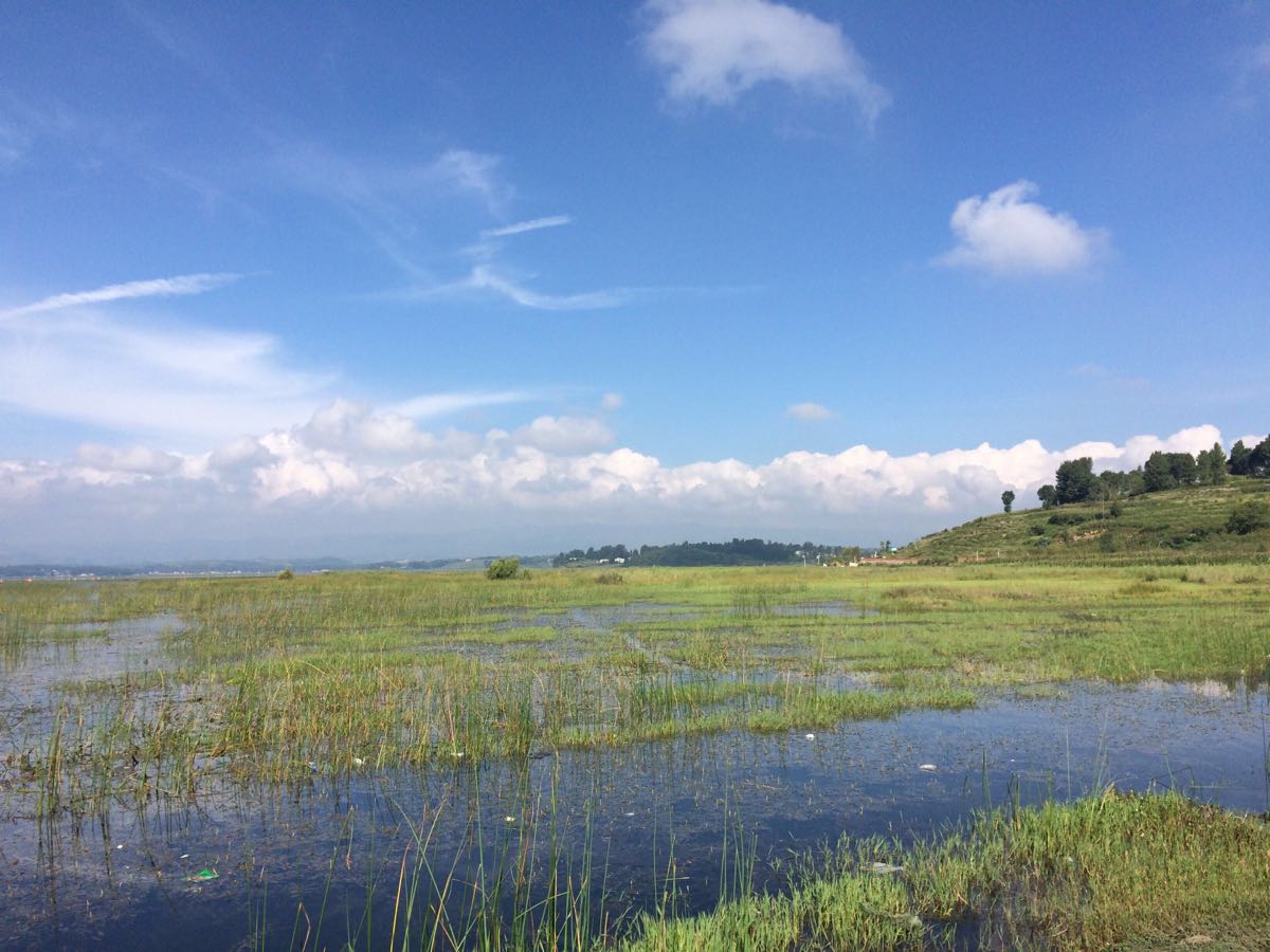 2019草海_旅游攻略_门票_地址_游记点评,威宁旅游景点推荐 - 去哪儿