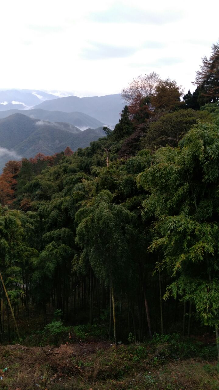 莫干山景区