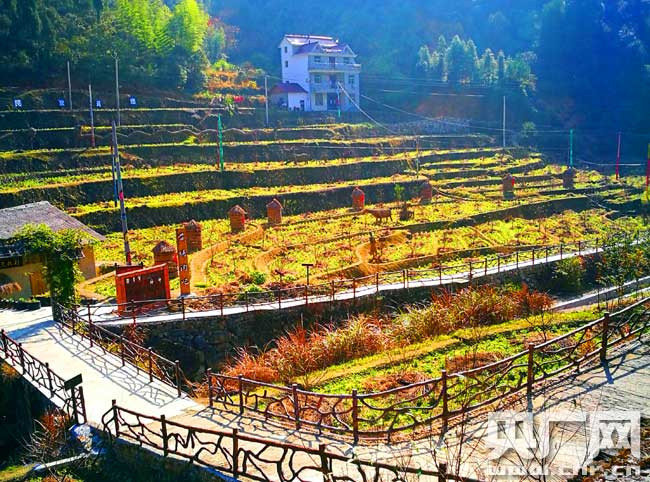 浙江常山新昌乡黄塘村农民开发旅游产业顶呱呱(图)