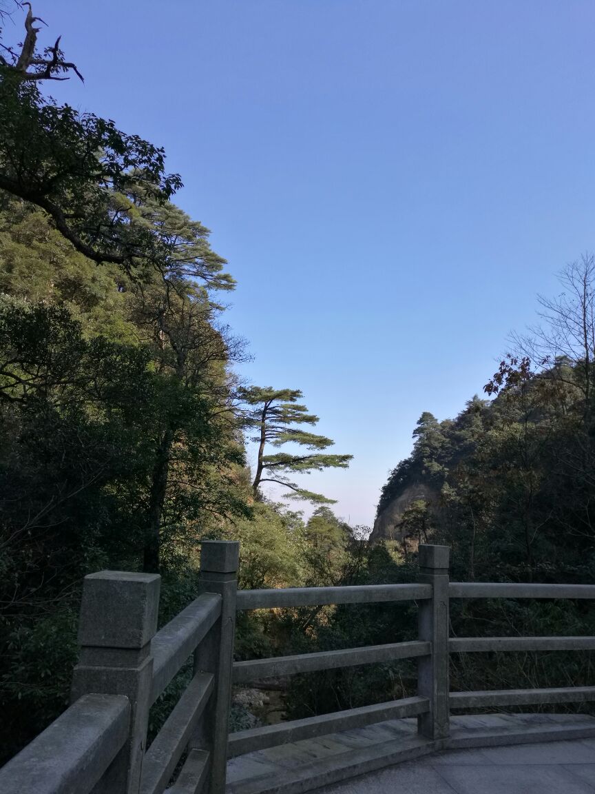 南岭国家森林公园旅游景点攻略图梦幻手游109蜃境攻略图片