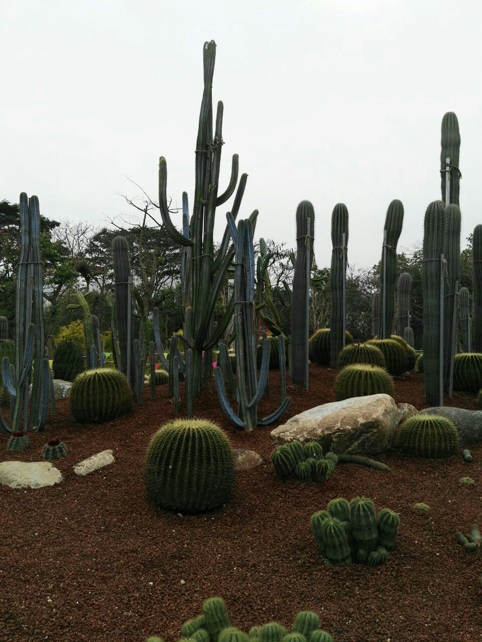 厦门园林植物园