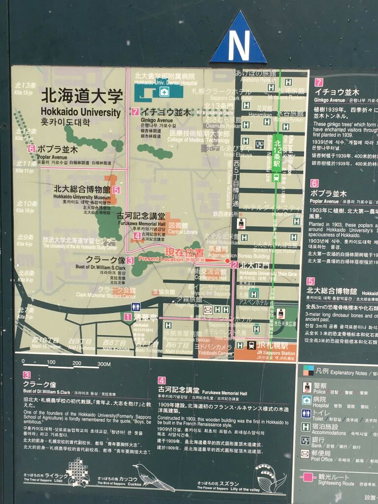 北海道大学