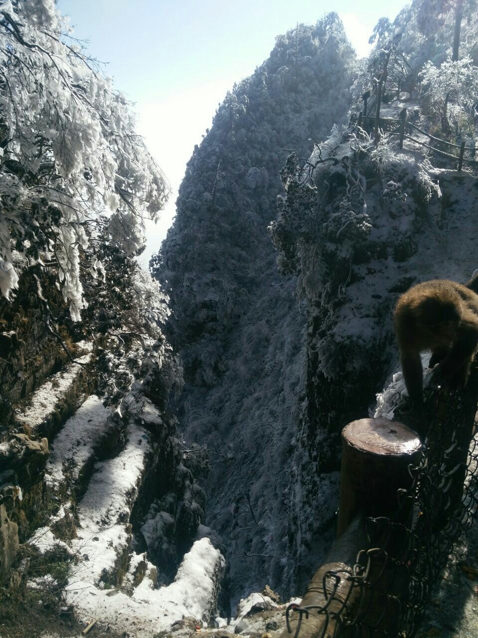 雷洞坪