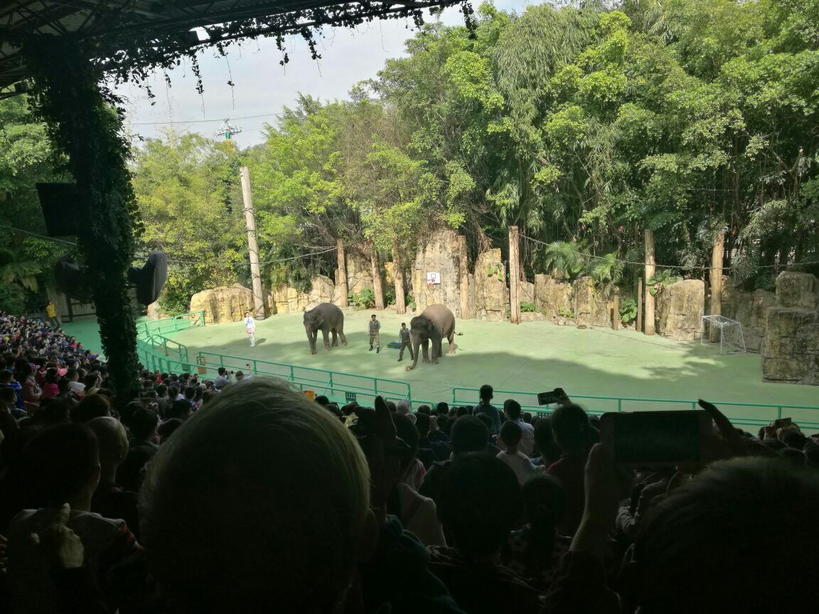 长隆野生动物世界