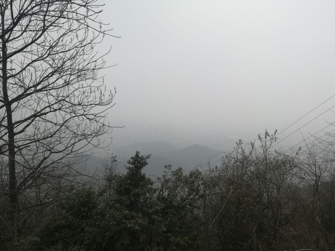 岳麓山
