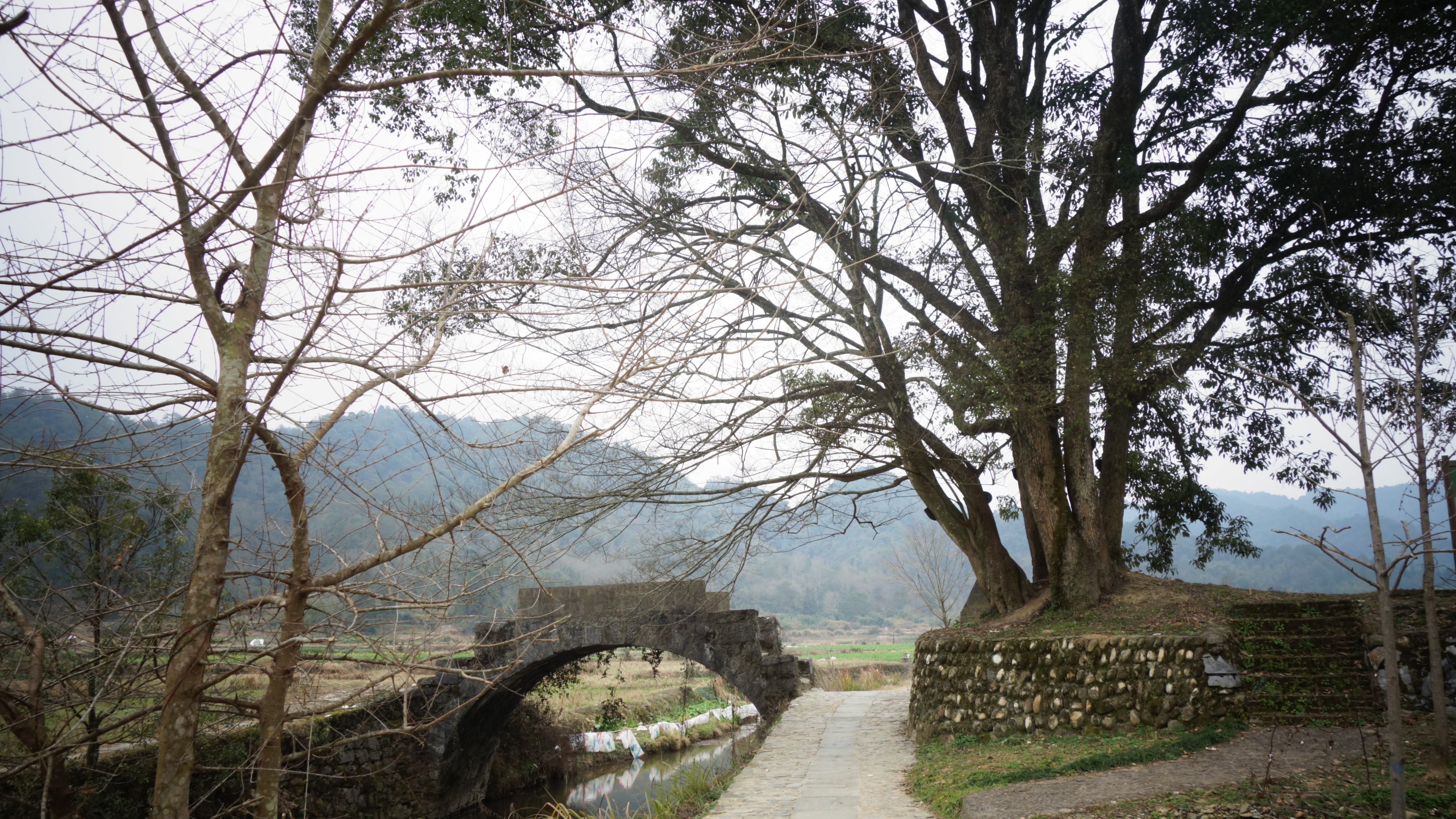 婺源严田