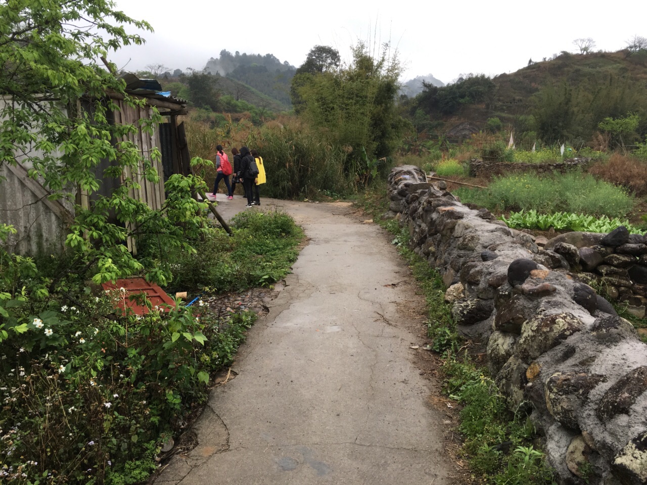 广州市从化区的溪头村,过去是出了名的贫困村,经过政府的多年扶贫