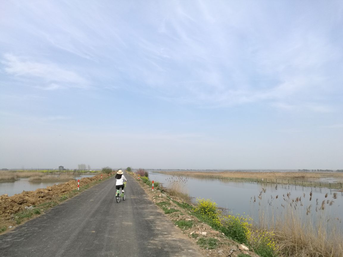 泗洪洪泽湖湿地旅游景点攻略图