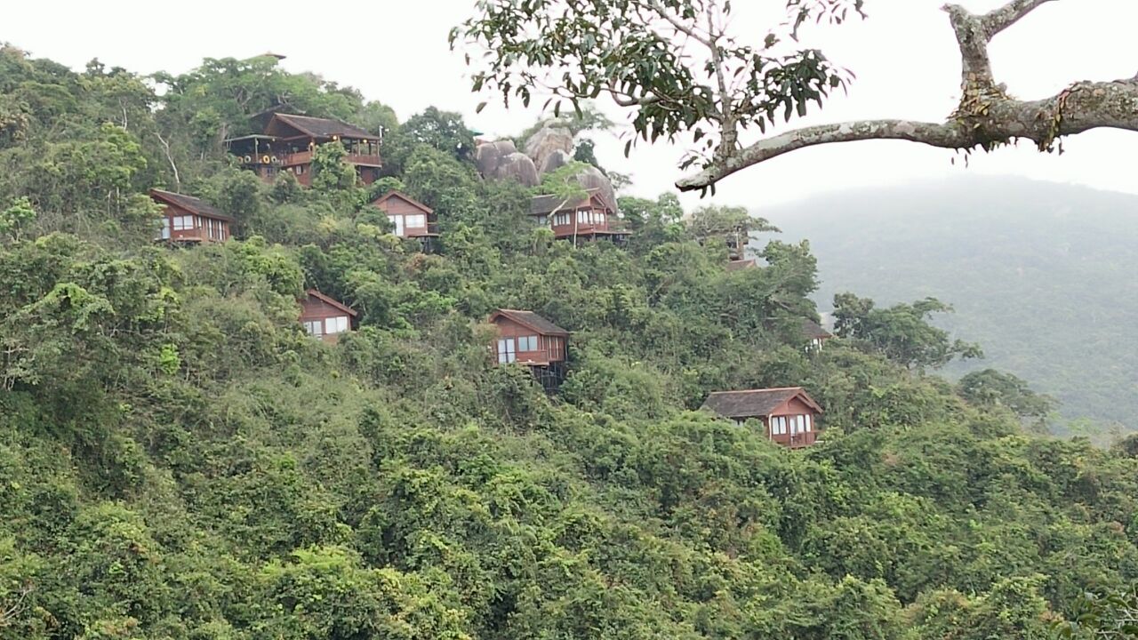 三亚鸟巢度假村好玩吗,三亚鸟巢度假村景点怎么样