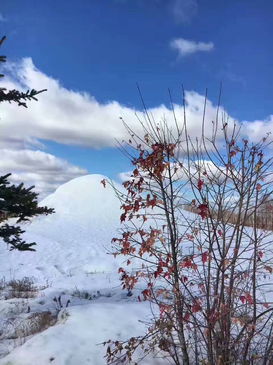 您好题主,很高兴遇见您的问题,最近几天漠河温度很低,9号还在下雪