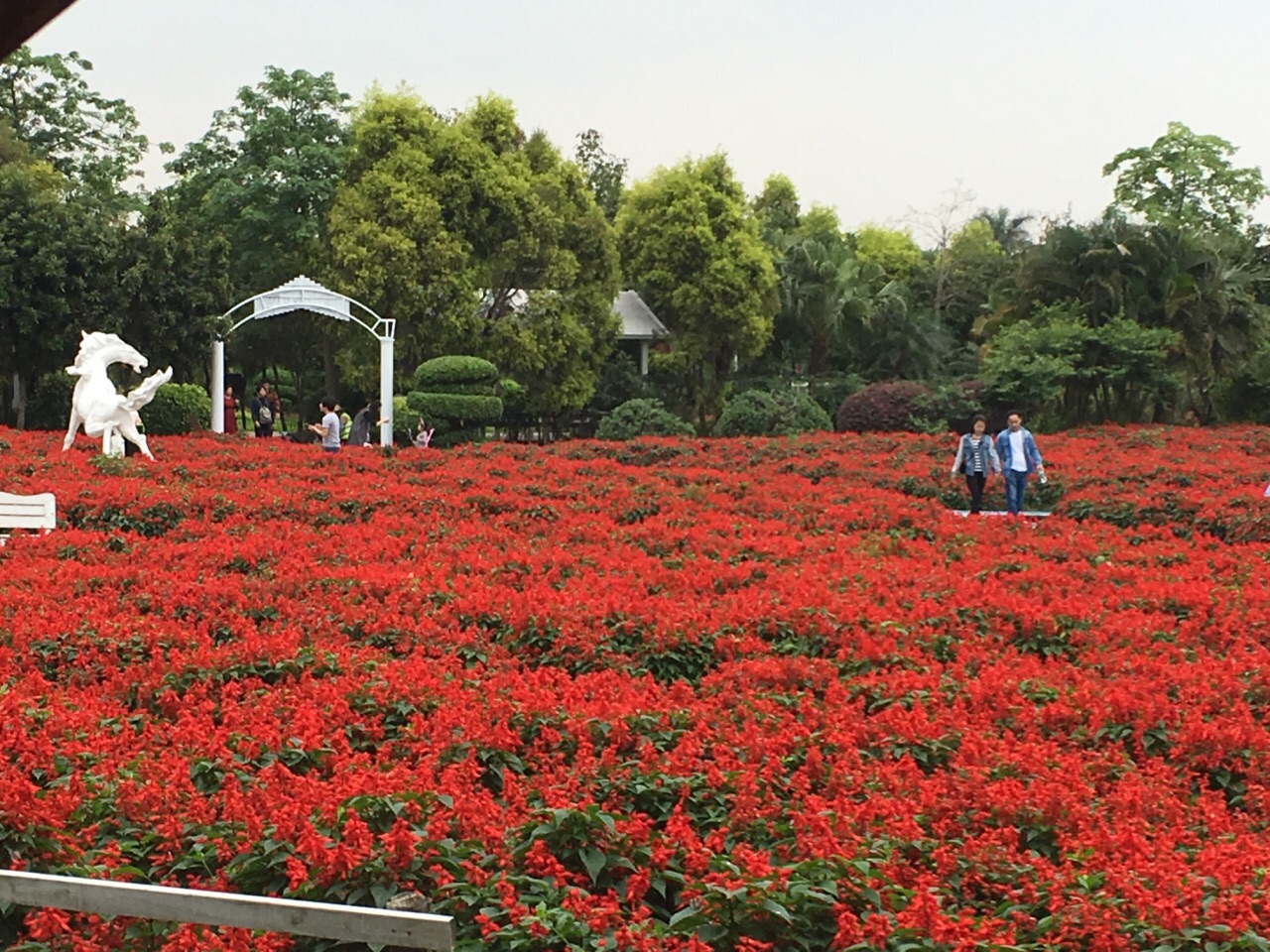 花都香草世界