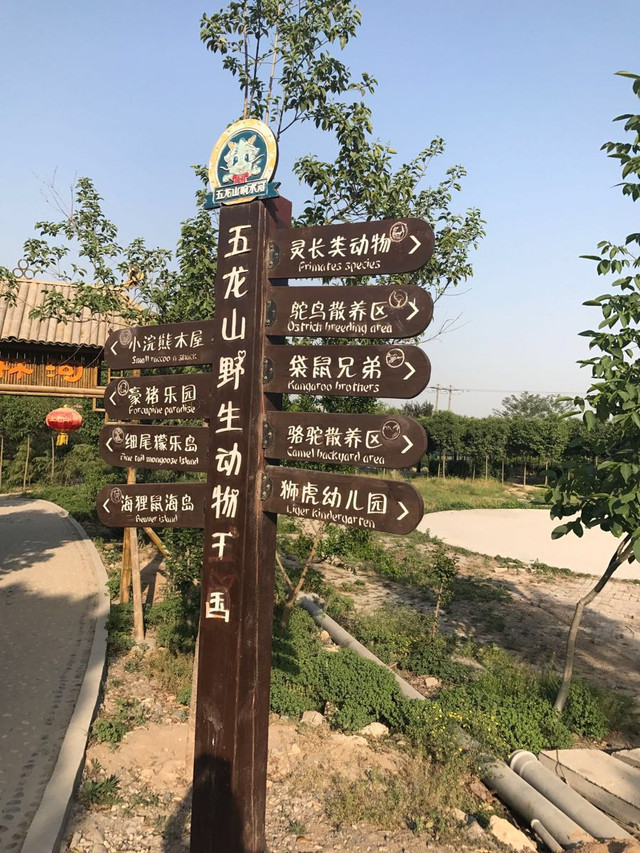 攻略老小乐游--五龙山野生动物园到河南自驾游云南全家图片