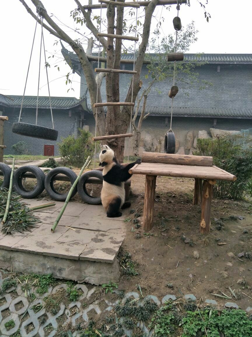 峨眉山仙芝竹尖生态园旅游景区攻略,峨眉山仙芝竹尖园