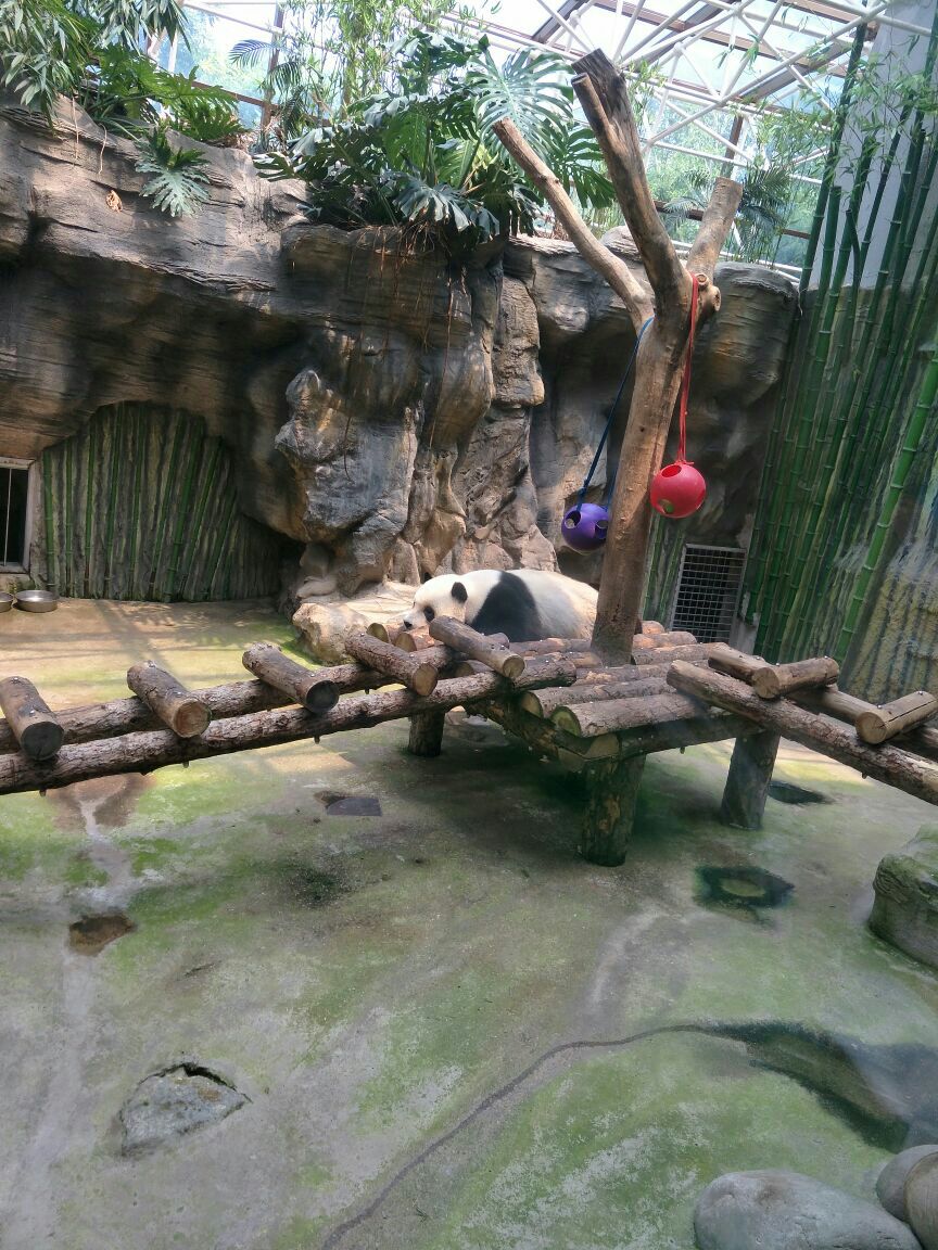 北京动物园旅游景点攻略图