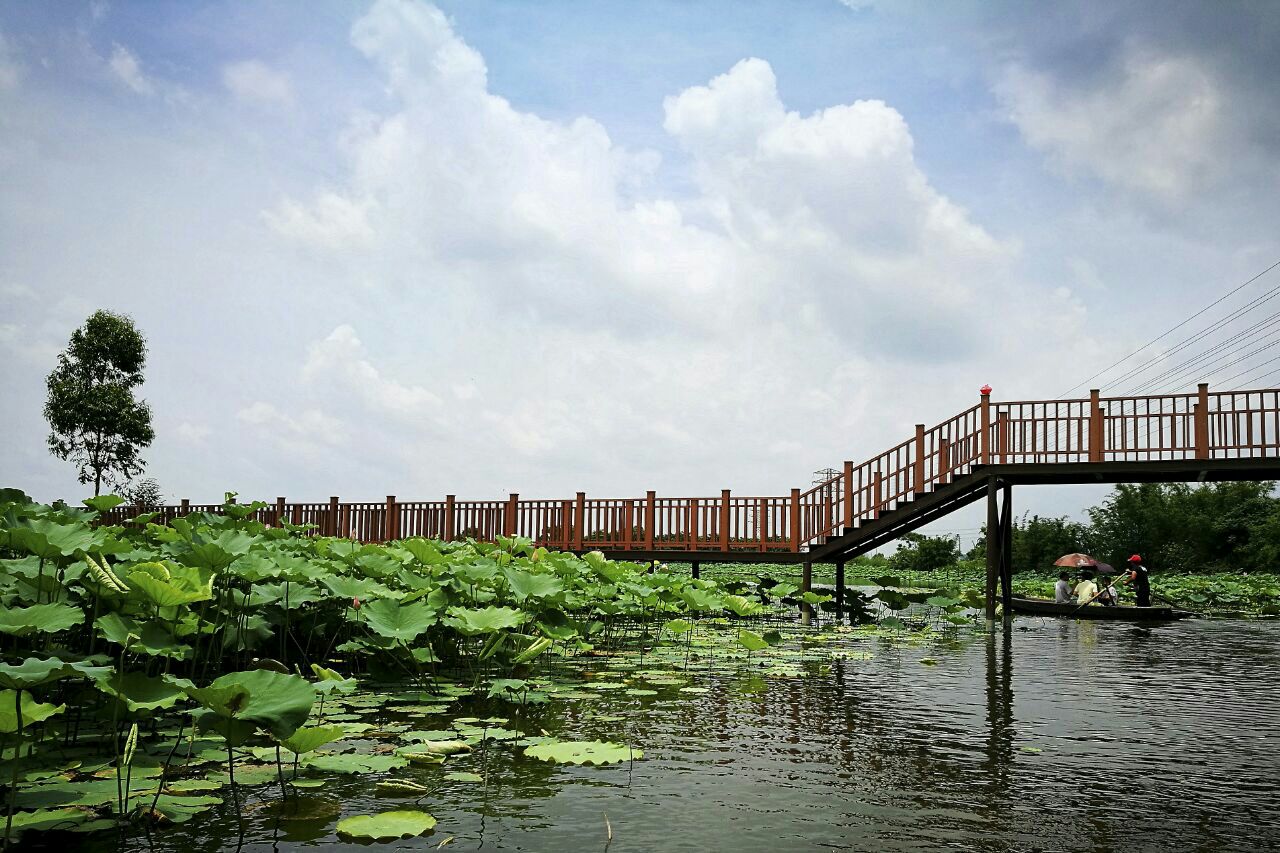 古劳水乡
