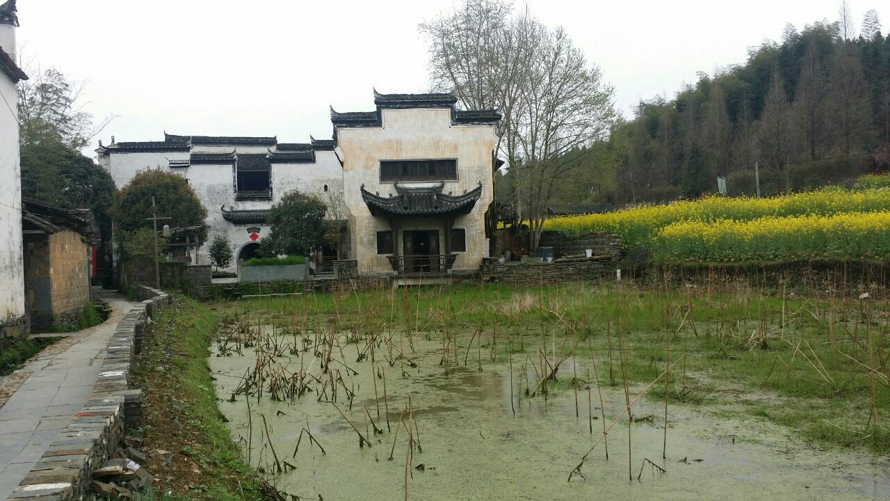 思溪延村门票,思溪延村门票价格,思溪延村门票团购