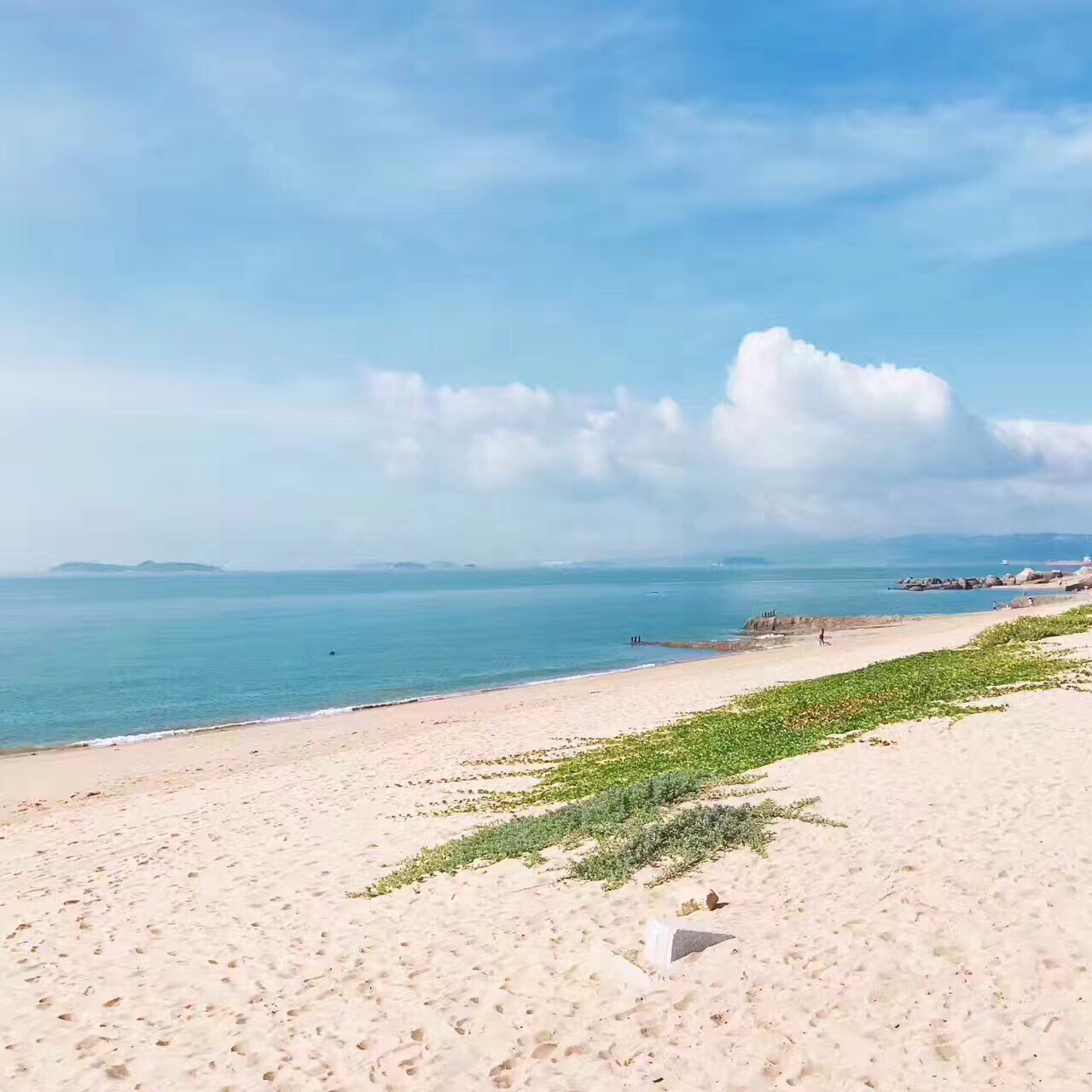 厦门环岛路是厦门国际马拉松赛的主赛道,被国际誉为世界最美的马拉松