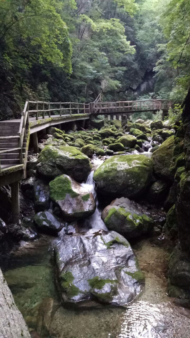 牛背梁国家森林公园