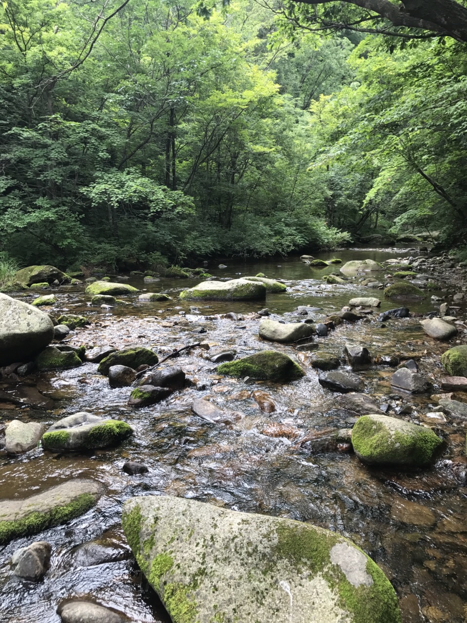 本溪老边沟风景区