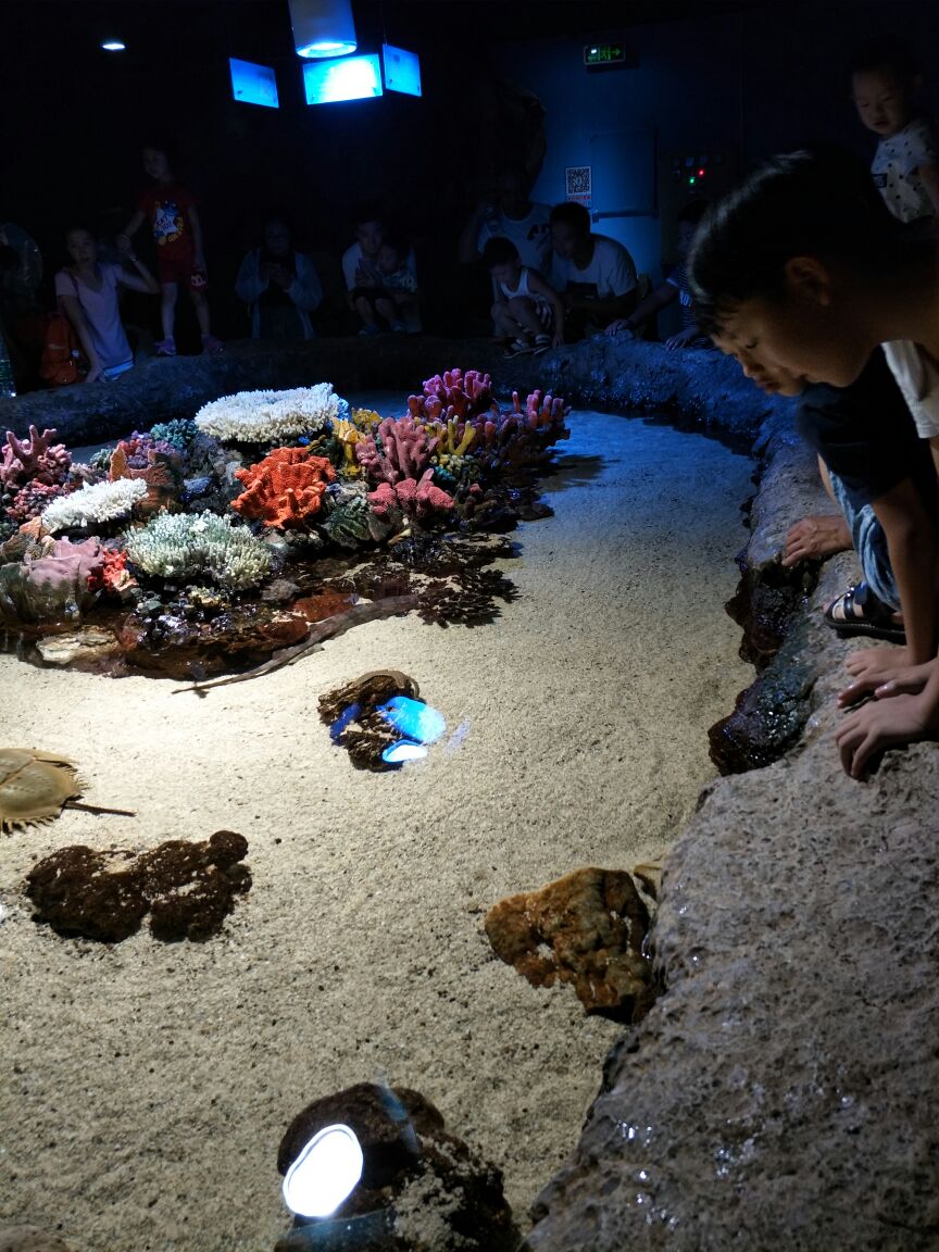 长沙海底世界