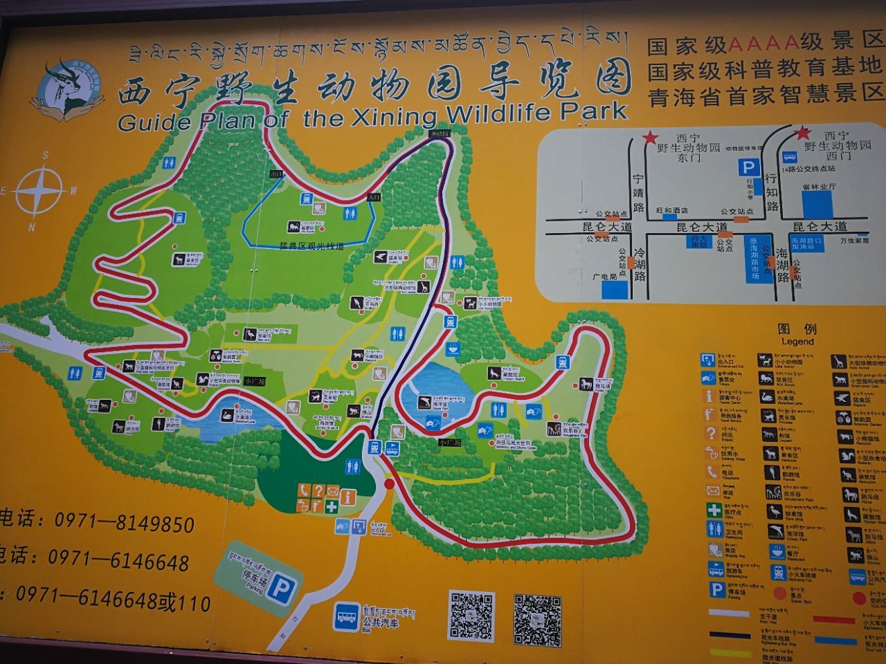 青藏高原野生动物园