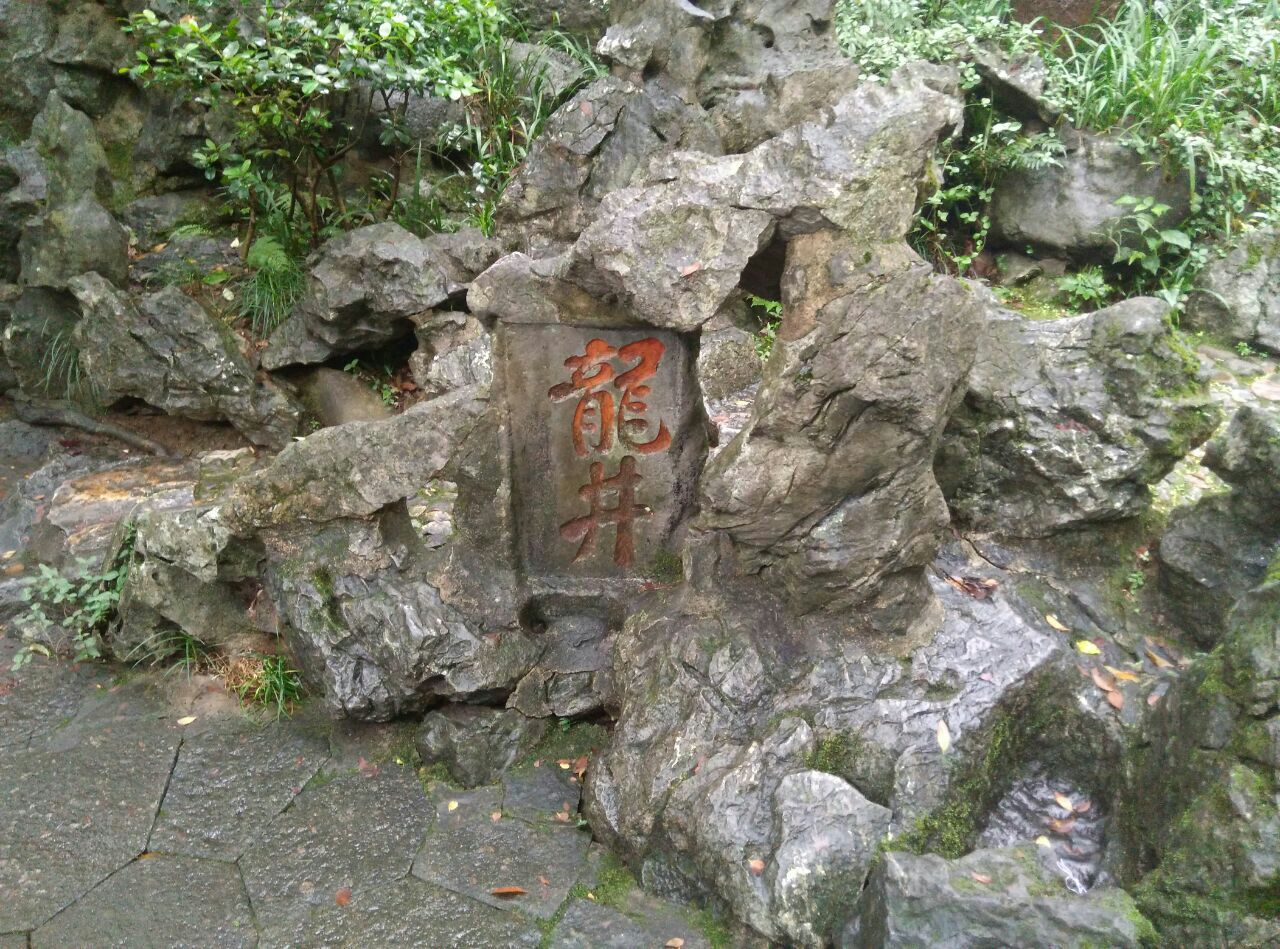 龙井泉
