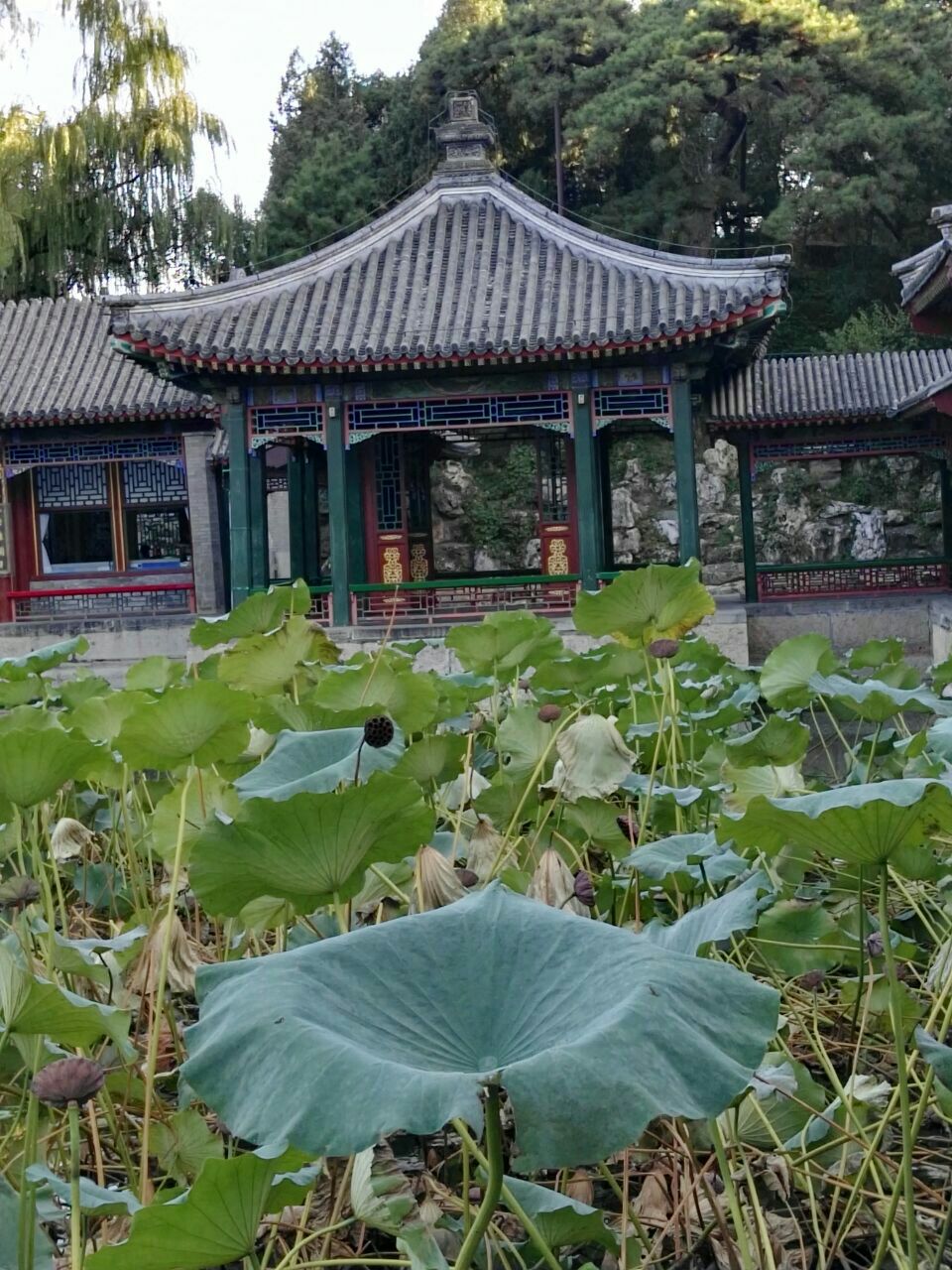 谐趣园