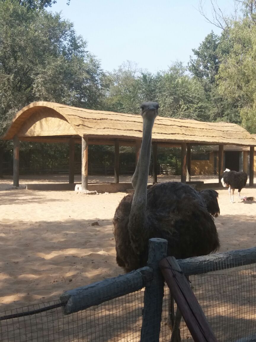 秦皇岛野生动物园